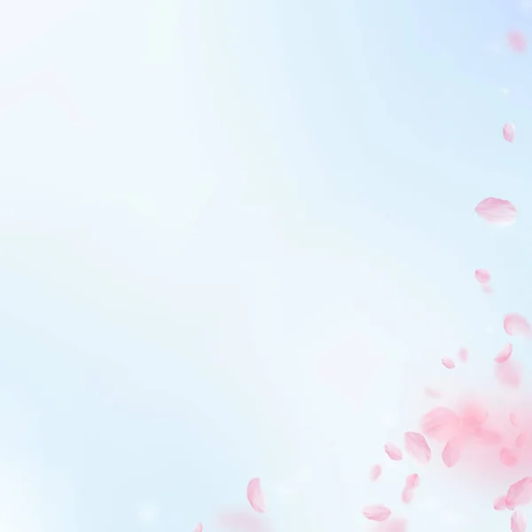 樱花花瓣飘落 浪漫的粉色花朵角落 蓝天正方形背景上飘扬的花瓣 浪漫的概念 强力婚宴邀请函 — 图库照片