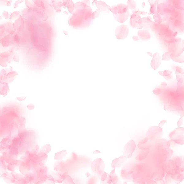 桜の花びらが落ちています ロマンチックなピンクの花は ビネットします 白い正方形の背景に花びらを飛んでいます ロマンス概念 エキゾチックな結婚式招待状 — ストック写真