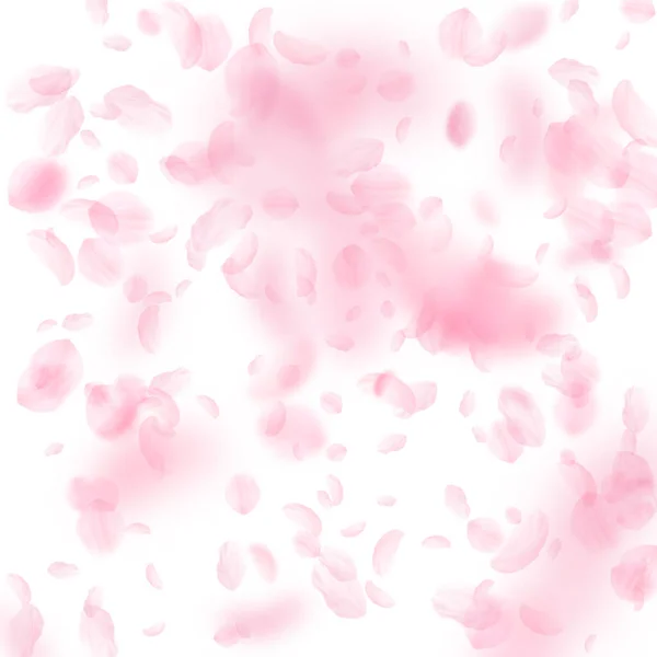 Sakura Lístky Padající Romantické Růžové Květiny Padající Déšť Letící Květy — Stock fotografie