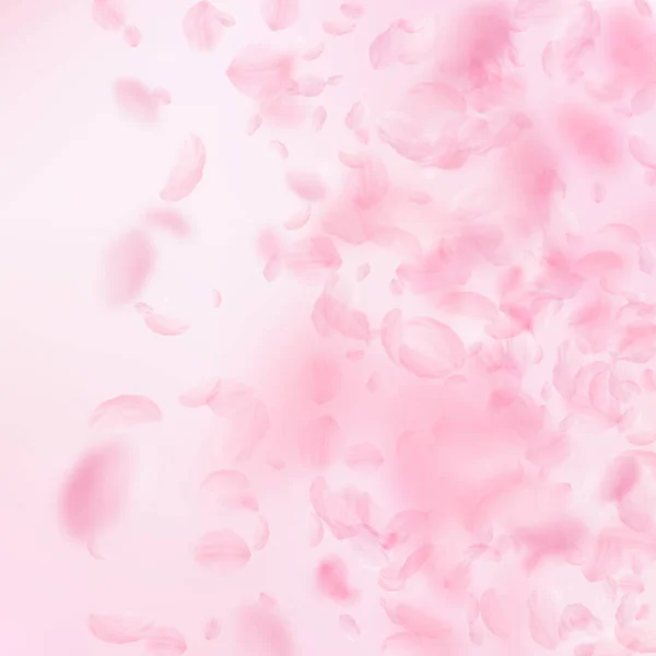 Sakura Kronblad Faller Ner Romantisk Rosa Blommor Lutning Flygande Blomblad — Stockfoto