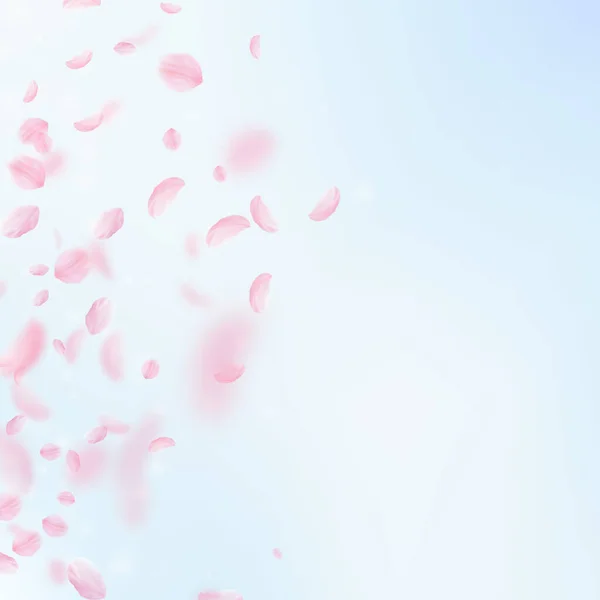 Sakura Petals Falling Romantic Pink Flowers Gradient Flying Petals Blue — Stock Photo, Image