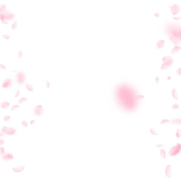 桜の花びらが落ちています ロマンチックなピンクの花のボーダー 白い正方形の背景に花びらを飛んでいます ロマンス概念 圧倒的な結婚式招待状 — ストック写真