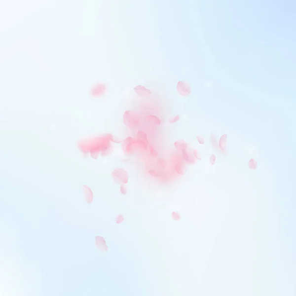 樱花花瓣掉落 浪漫的粉红色花朵爆炸 在蓝天广场背景上飞行的花瓣 浪漫的概念 令人眼花缭乱的婚礼邀请函 — 图库照片
