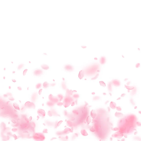桜の花びらが落ちています ロマンチックなピンクの花のグラデーション 白い正方形の背景に花びらを飛んでいます ロマンス概念 立派な結婚式招待状 — ストック写真