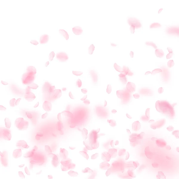 桜の花びらが落ちています ロマンチックなピンクの花のグラデーション 白い正方形の背景に花びらを飛んでいます ロマンス概念 創造的な結婚式招待状 — ストック写真