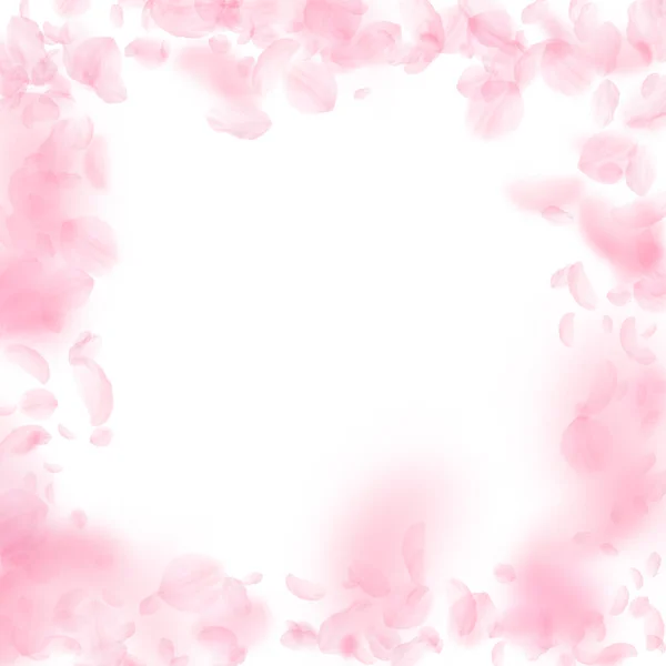桜の花びらが落ちています ロマンチックなピンクの花のフレーム 白い正方形の背景に花びらを飛んでいます ロマンス概念 人気の結婚式招待状 — ストック写真
