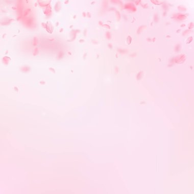Sakura yaprakları aşağı düşen. Romantik pembe çiçekler degrade. Yaprakları pembe kare arka plan üzerinde uçan. Aşk, romantizm kavramı. Şık düğün davetiyesi.