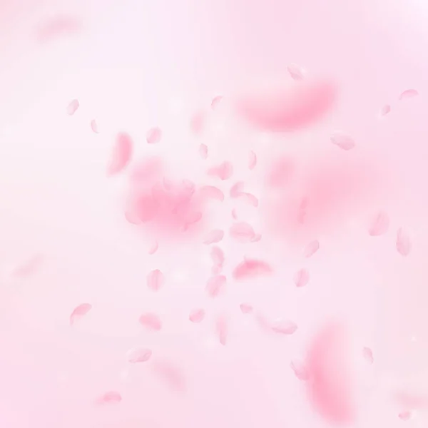 Sakura petals falling down. Romantic pink flowers explosion. Flying petals on pink square background. Love, romance concept. Extraordinary wedding invitation.