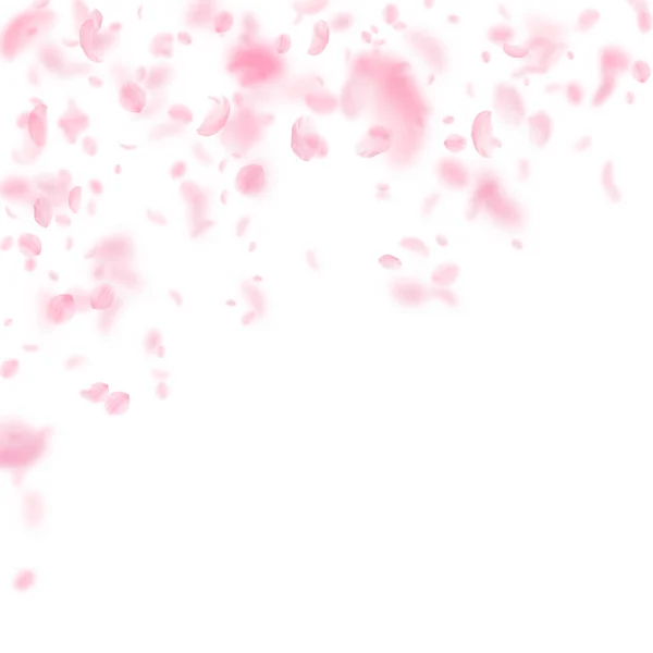 Sakura Bloemblaadjes Vallen Romantische Roze Bloemen Vallende Regen Vliegende Bloemblaadjes — Stockfoto