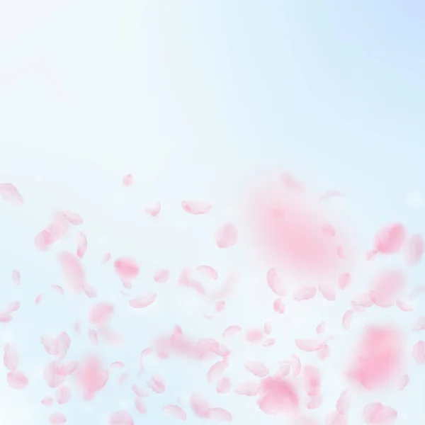 樱花花瓣落下 浪漫粉红色的花朵渐变 在蓝天广场的背景下飞翔的花瓣 浪漫的概念 豪华婚礼请柬 — 图库照片
