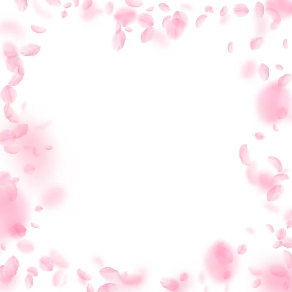 桜の花びらが落ちてきた ロマンチックなピンクの花のフレーム 白い四角形の背景に空飛ぶ花弁 恋愛概念 結婚式の招待状を出す — ストック写真