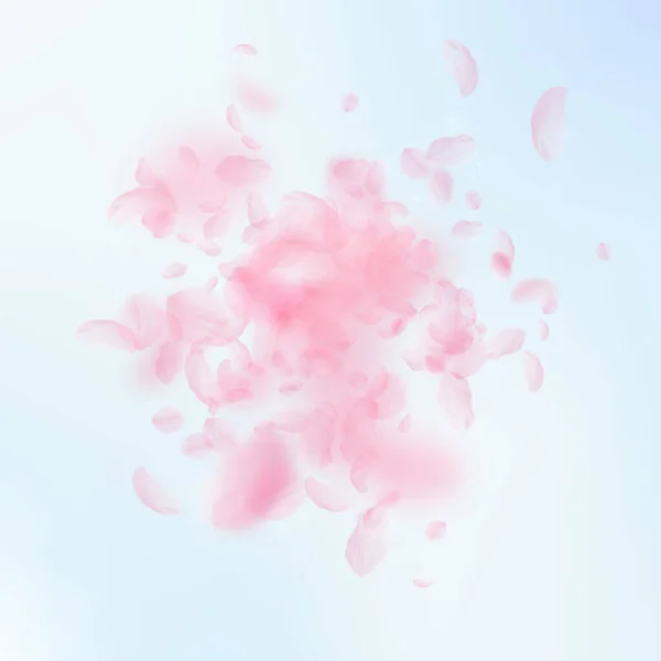 樱花花瓣落下 浪漫的粉红色花朵爆炸 在蓝天广场的背景下飞翔的花瓣 浪漫的概念 创意婚礼请柬 — 图库照片