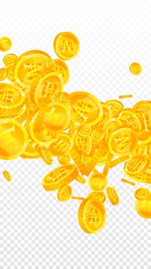 Kore bozuk paraları düştü. Temiz, dağınık WON paraları. Kore parası. Büyük ikramiye, servet ya da başarı konsepti. Vektör illüstrasyonu.