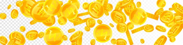 Korean Won Coins Falling Bold Scattered Won Coins Korea Money — стоковый вектор