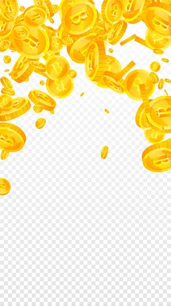 Bitcoin Die Internetwährung Coins Fallen Überwältigend Verstreute Btc Münzen Kryptowährung — Stockvektor