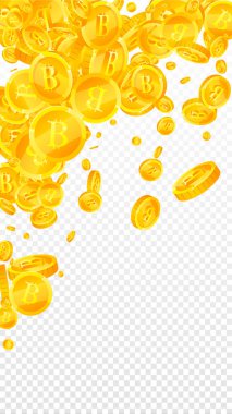 Bitcoin, internet para birimleri düşüyor. Uygun dağılmış BTC paraları. Kripto para, dijital para. Muhteşem ikramiye, servet ya da başarı konsepti. Vektör illüstrasyonu.