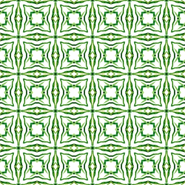 베스크 이손으로 국경선 녹색의 매력적 디자인 아라베스크 손으로 디자인 놀라운 — 스톡 사진