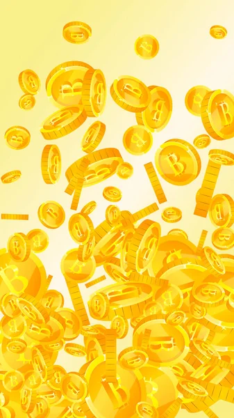 Bitcoin Νομίσματα Του Διαδικτύου Πτώση Θετικά Διάσπαρτα Νομίσματα Btc Κρυπτονόμισμα — Διανυσματικό Αρχείο