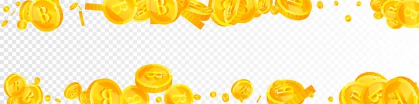 Bitcoin Internet Currency Coins Falling Charming Scattered Btc Coins Cryptocurrency — Stock Vector