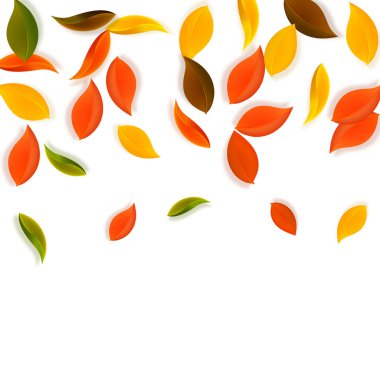 Sonbahar yaprakları dökülüyor. Kırmızı, sarı, yeşil, kahverengi, temiz yapraklar uçuşuyor. Enfes beyaz arka planda yağan renkli yapraklar. Okul satışına geri dönmek nefes kesici..