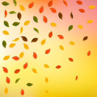 Sonbahar yaprakları dökülüyor. Kırmızı, sarı, yeşil, kahverengi yapraklar uçuşuyor. Güzel günbatımı arka planında rengarenk yapraklar. Harika, okul satışına geri döndük..