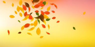 Sonbahar yaprakları dökülüyor. Kırmızı, sarı, yeşil, kaotik yapraklar uçuşuyor. Göz kamaştırıcı beyaz arka planda rengarenk yaprak patlaması. Güzel, okul satışına geri döndü..