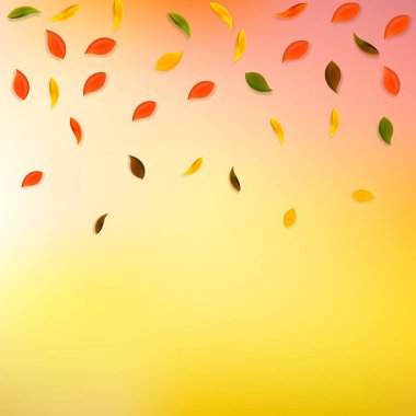 Falling autumn leaves. Red, yellow, green, brown random leaves flying. Gradient colorful foliage on fabulous sunset background. Awesome back to school sale.