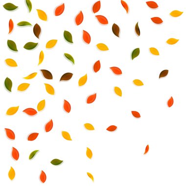 Falling autumn leaves. Red, yellow, green, brown random leaves flying. Gradient colorful foliage on cool white background. Awesome back to school sale.