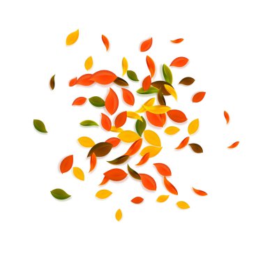 Falling autumn leaves. Red, yellow, green, brown chaotic leaves flying. Explosion colorful foliage on stylish white background. Bold back to school sale.