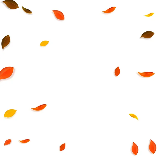 Падающие Осенние Листья Красные Желтые Зеленые Коричневые Хаотические Листья Виньетка — стоковый вектор