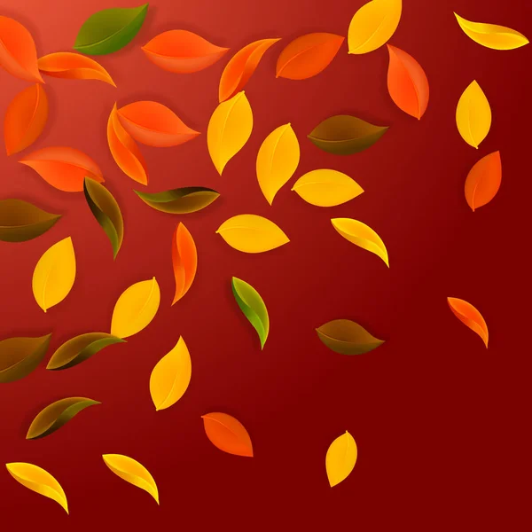 Falling Autumn Leaves Red Yellow Green Brown Neat Leaves Flying — Stockvektor