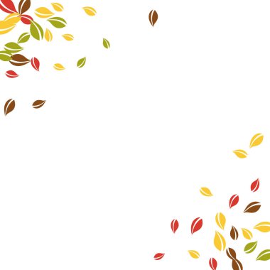 Falling autumn leaves. Red, yellow, green, brown chaotic leaves flying. Corner colorful foliage on likable white background. Bold back to school sale.