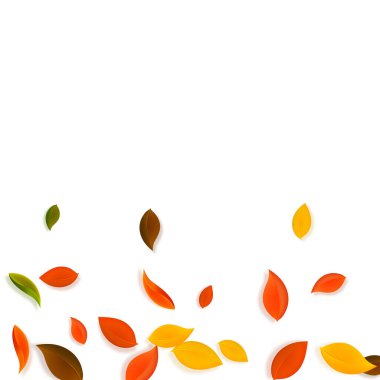 Falling autumn leaves. Red, yellow, green, brown chaotic leaves flying. Gradient colorful foliage on pleasant white background. Awesome back to school sale.