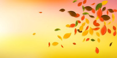Falling autumn leaves. Red, yellow, green, brown chaotic leaves flying. Explosion colorful foliage on charming white background. Captivating back to school sale.