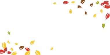 Sonbahar yaprakları dökülüyor. Kırmızı, sarı, yeşil, kaotik yapraklar uçuşuyor. Garip beyaz arka planda renkli yapraklar var. Okul satışına geri dönmek büyüleyici..