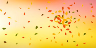 Sonbahar yaprakları dökülüyor. Kırmızı, sarı, yeşil, kaotik yapraklar uçuşuyor. Olumlu beyaz arka planda patlama renginde yapraklar. Okul satışına geri dönmek büyüleyici..