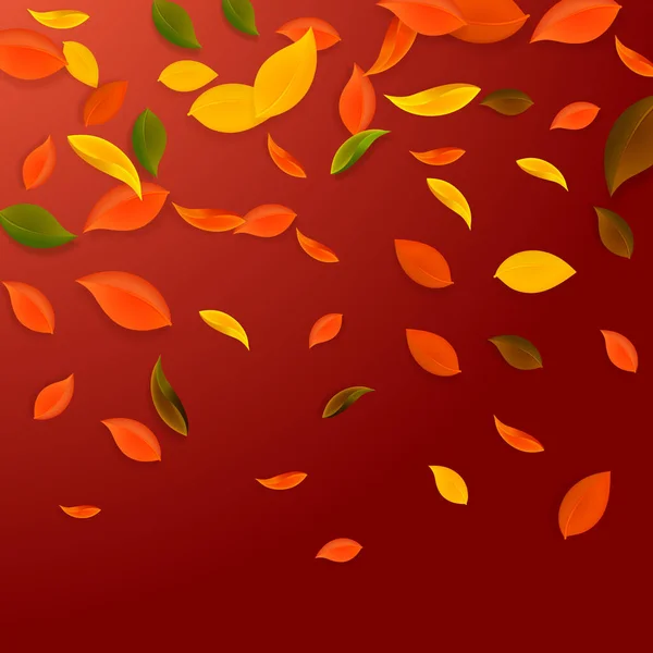 Dedaunan Musim Gugur Yang Berjatuhan Merah Kuning Hijau Coklat Semrawut - Stok Vektor