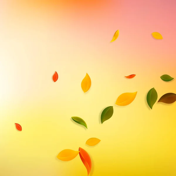 Fallende Herbstblätter Rote Gelbe Grüne Braune Chaotische Blätter Fliegen Corner — Stockvektor