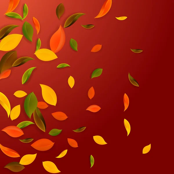 秋天落叶 褐色的乱叶飘扬 色彩艳丽的叶子 衬托着迷人的红色背景 很好回到学校销售 — 图库矢量图片