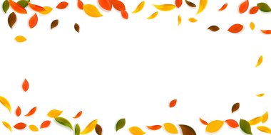 Sonbahar yaprakları dökülüyor. Kırmızı, sarı, yeşil, kaotik yapraklar uçuşuyor. Neşeli günbatımı arka planında renkli bir yaprak. Okul satışına geri dönmek çok güzel..