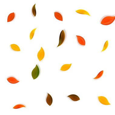 Sonbahar yaprakları dökülüyor. Kırmızı, sarı, yeşil, kahverengi, temiz yapraklar uçuşuyor. Büyüleyici beyaz arka plan üzerine yağan renkli yapraklar. Okul satışına geri dönmek nefes kesici..