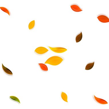 Sonbahar yaprakları dökülüyor. Kırmızı, sarı, yeşil, kahverengi, temiz yapraklar uçuşuyor. Takdire şayan beyaz arka planda rengarenk bir yaprak patlaması. Otantik okul satışına dönüş.