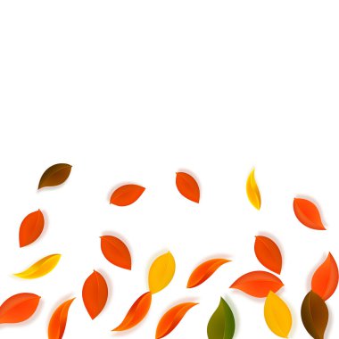 Sonbahar yaprakları dökülüyor. Kırmızı, sarı, yeşil, kahverengi, temiz yapraklar uçuşuyor. Beyaz fevkalade arka planda rengarenk yapraklar. Otantik okul satışına dönüş.