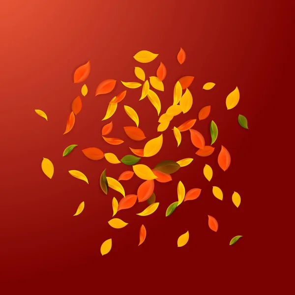 Fallende Herbstblätter Rote Gelbe Grüne Braune Chaotische Blätter Fliegen Explosion — Stockvektor