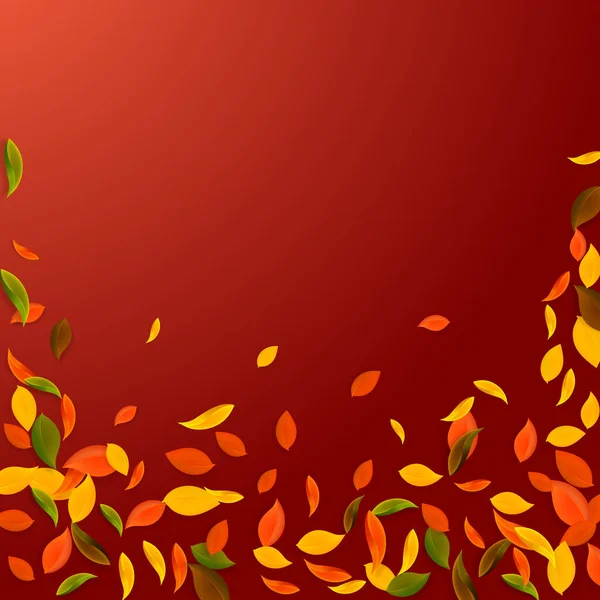 Падающие Осенние Листья Красные Желтые Зеленые Коричневые Хаотические Листья Падение — стоковый вектор