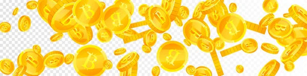 Bitcoin Monedas Cayendo Criptomoneda Dispersa Monedas Oro Btc Moneda Internet — Archivo Imágenes Vectoriales