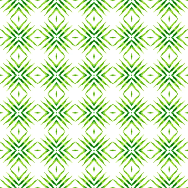 重复有条纹的手绘边界 绿色迷人的时髦夏装设计 纺织精美印花 泳衣面料 包装材料 条纹手绘设计 — 图库照片