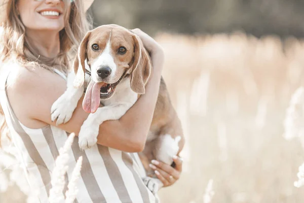 Attractiive Young Woman Outdoors Her Pet Owner Dog Together Friends — стоковое фото