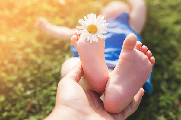 Дитячі Ноги Крихітні Дитячі Ноги Концепція Догляду Дітьми Природньо Батьківство Стокове Фото