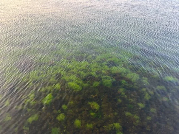 Mossy Shallow Waters Small Waves — Fotografia de Stock